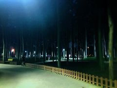 -仁和公园(顺义区)