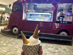 -Vola Gelato意大利手工冰淇淋(朝阳大悦城店)