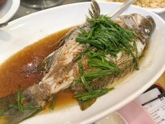 -双天海鲜楼 · 43年老字号