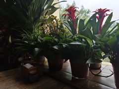 -云之南(八里庄店)