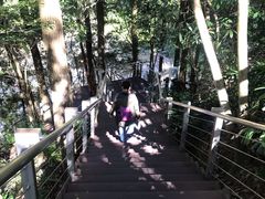 -广州市流溪河国家森林公园