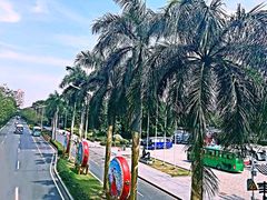 -东部华侨城