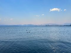 -洱海月湿地公园