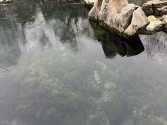 -解放阁
