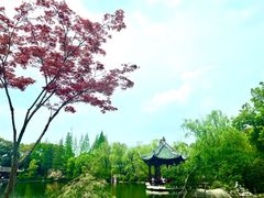 -棠湖公园