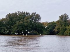 -大湾区中央湿地公园