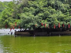 -广东茂名森林公园