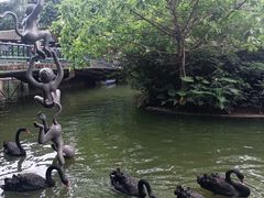 -深圳野生动物园