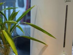 -友立得蛋糕(师大店)