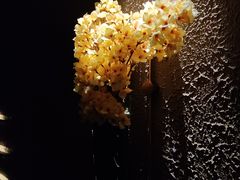 -尔雅释地足道SPA·旗舰店