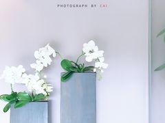 -Bai Meow法式西点咖啡