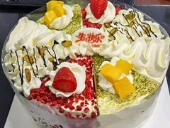 -维尔纳斯·生日蛋糕·动物奶油冰淇淋蛋糕(六里桥店)