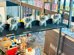 -了不起的考拉咖啡店(高新店)