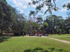 -中国科学院西双版纳热带植物园