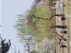 -海棠花溪(元大都城垣遗址公园)