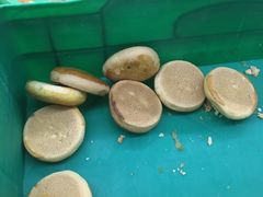 -宫廷糕点铺(建设路店)