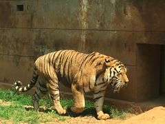 -昆明动物园