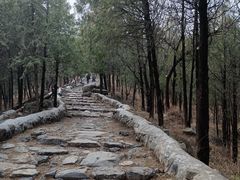 -阳台山自然风景区