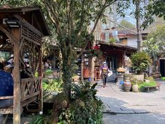 -青城甲(青城山店)