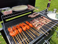 -田园东方蜜桃村的田野营地