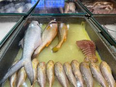 -鹰龙海畔度假酒店(咸祥店)