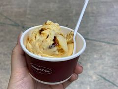 -哈根达斯(天河城店)
