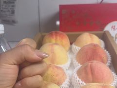 -老袁家蜜桃农场·阳山水蜜桃