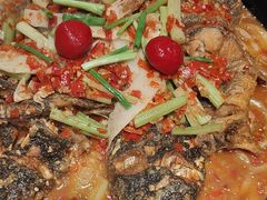 -老板恋上鱼(恒隆广场店)