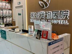 -瑞派康怡24h宠物医院·犬猫医疗中心·微创绝育(瑞景分院)