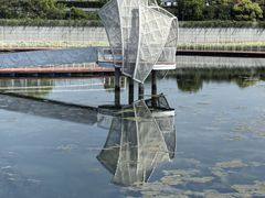-贡湖湾湿地公园