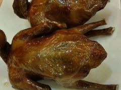 -五谷芳乳鸽王（大梅沙总店C区）(网红打卡店)
