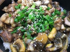 -红星光发煲仔饭(大石街店)