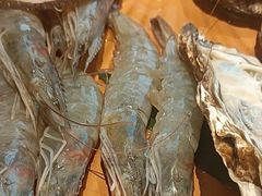 -牛YO寿喜烧和牛火锅自助(三台子万象汇店)