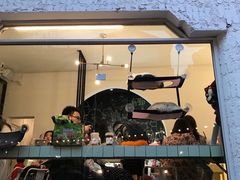 门面-有猫主题·治愈系猫咖(曾厝垵店)