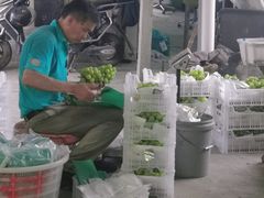 -马陆小张葡萄园农家乐