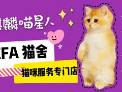 -十年猫舍·猫咪专门店(普陀店)