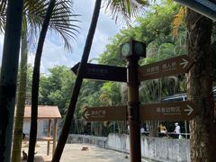 -广东茂名森林公园