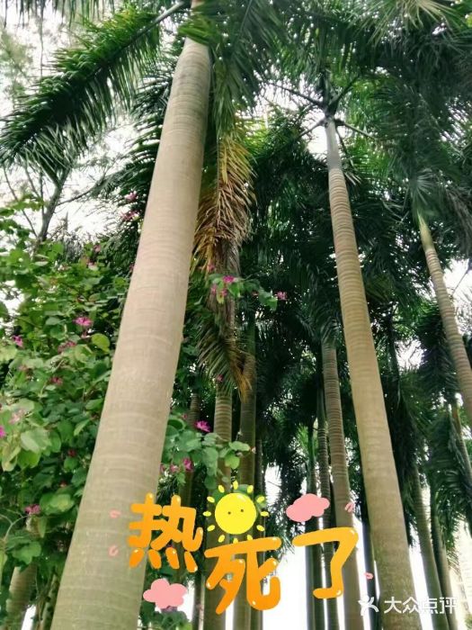 深圳维景酒店图片
