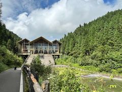 -武陵山森林公园