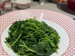 -圆苑(静安寺店)