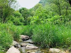 -碓臼峪自然风景区