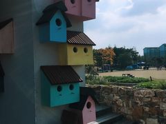 -田园东方蜜桃村的田野营地