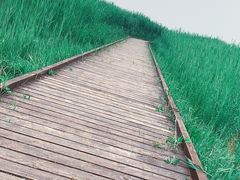 -西青郊野公园