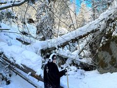 -峡谷浮石林景区