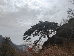 -泰山风景名胜区
