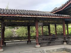 -天涯山