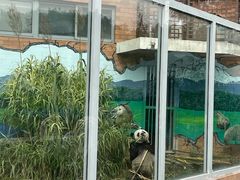 -苏州太湖国家湿地公园