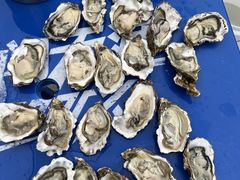 -集贤阁海鲜酒楼(北辰总店)