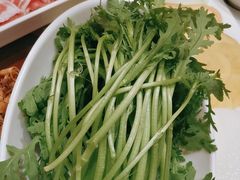 -蒙都43°9羊火锅(平庄店)