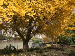 -苏州河梦清园环保主题公园